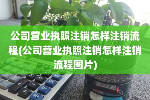 公司营业执照注销怎样注销流程(公司营业执照注销怎样注销流程图片)