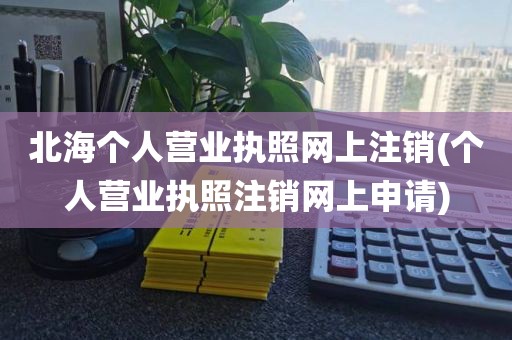 北海个人营业执照网上注销(个人营业执照注销网上申请)