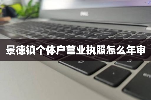 景德镇个体户营业执照怎么年审