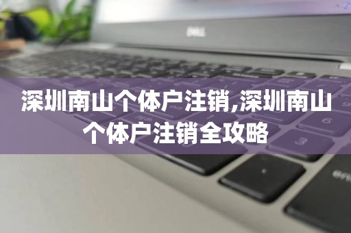 深圳南山个体户注销,深圳南山个体户注销全攻略