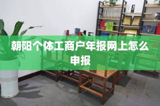 朝阳个体工商户年报网上怎么申报