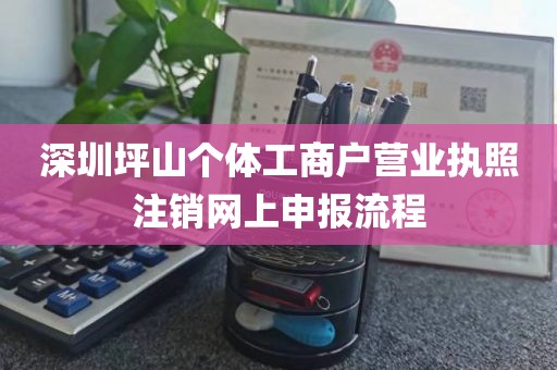 深圳坪山个体工商户营业执照注销网上申报流程