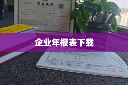 企业年报表下载