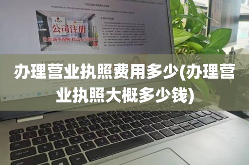 办理营业执照费用多少(办理营业执照大概多少钱)