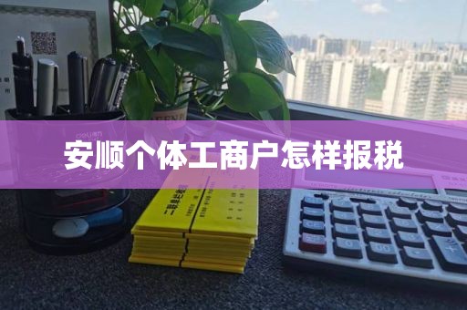 安顺个体工商户怎样报税