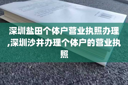 深圳盐田个体户营业执照办理,深圳沙井办理个体户的营业执照