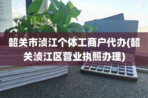 韶关市浈江个体工商户代办(韶关浈江区营业执照办理)