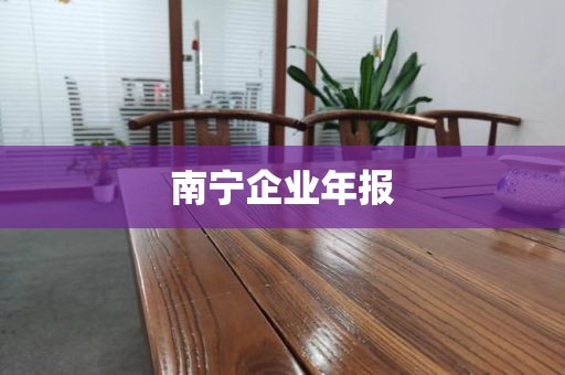 南宁企业年报