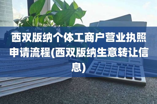 西双版纳个体工商户营业执照申请流程(西双版纳生意转让信息)