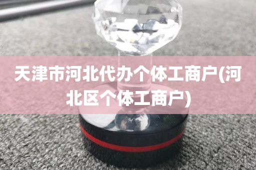 天津市河北代办个体工商户(河北区个体工商户)