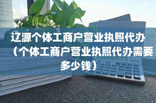 辽源个体工商户营业执照代办（个体工商户营业执照代办需要多少钱）