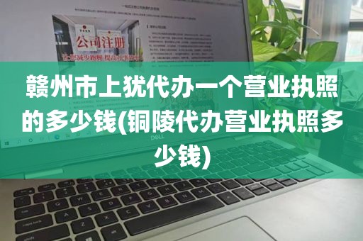 赣州市上犹代办一个营业执照的多少钱(铜陵代办营业执照多少钱)