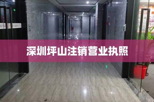 深圳坪山注销营业执照