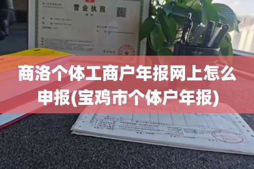 商洛个体工商户年报网上怎么申报(宝鸡市个体户年报)