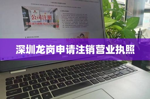 深圳龙岗申请注销营业执照