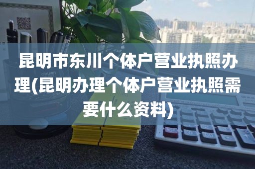 昆明市东川个体户营业执照办理(昆明办理个体户营业执照需要什么资料)