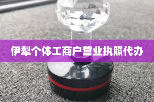 伊犁个体工商户营业执照代办