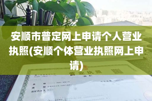 安顺市普定网上申请个人营业执照(安顺个体营业执照网上申请)