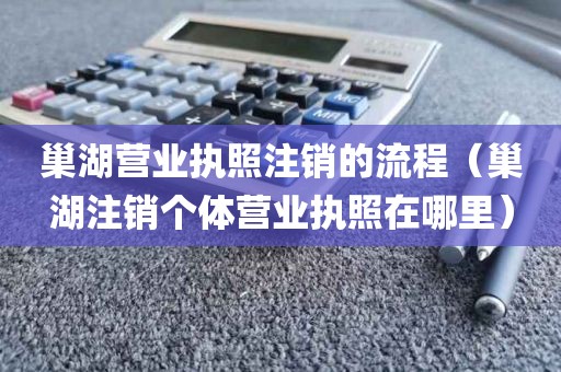 巢湖营业执照注销的流程（巢湖注销个体营业执照在哪里）