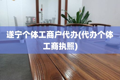 遂宁个体工商户代办(代办个体工商执照)