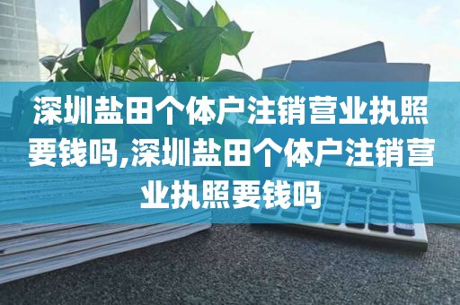深圳盐田个体户注销营业执照要钱吗,深圳盐田个体户注销营业执照要钱吗