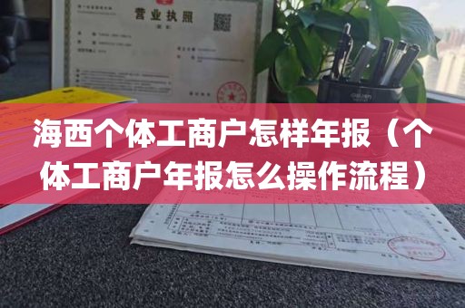 海西个体工商户怎样年报（个体工商户年报怎么操作流程）