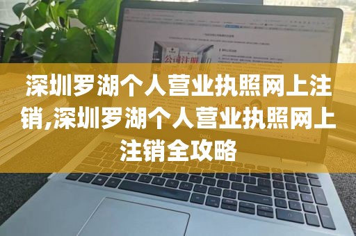 深圳罗湖个人营业执照网上注销,深圳罗湖个人营业执照网上注销全攻略