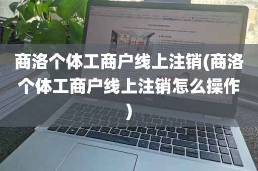 商洛个体工商户线上注销(商洛个体工商户线上注销怎么操作)