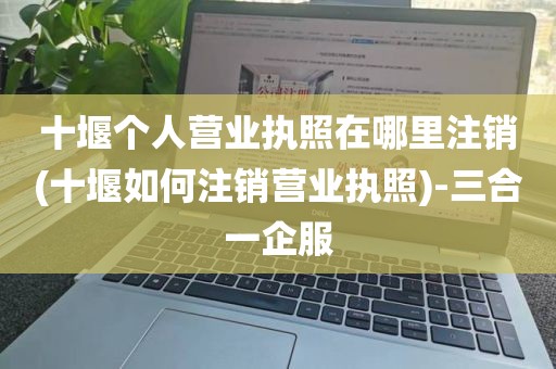 十堰个人营业执照在哪里注销(十堰如何注销营业执照)-三合一企服