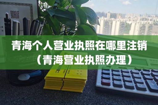青海个人营业执照在哪里注销（青海营业执照办理）
