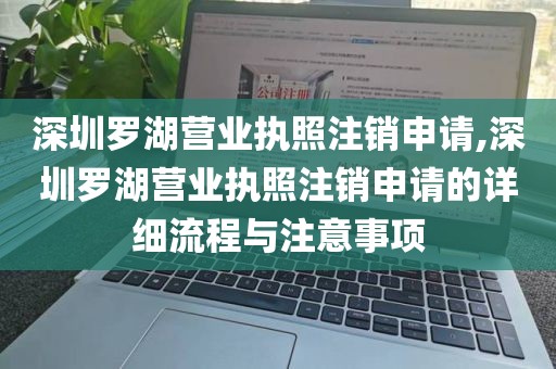 深圳罗湖营业执照注销申请,深圳罗湖营业执照注销申请的详细流程与注意事项
