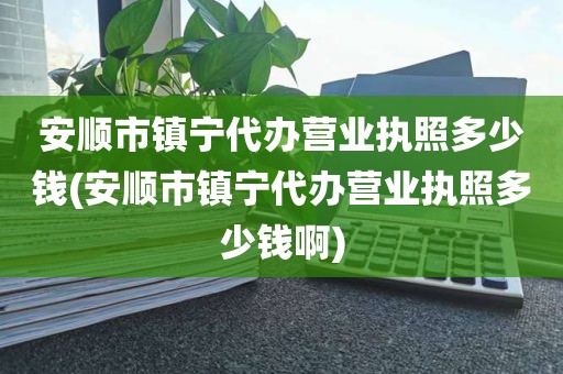 安顺市镇宁代办营业执照多少钱(安顺市镇宁代办营业执照多少钱啊)