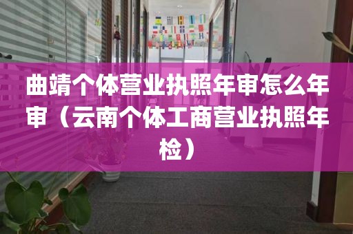 曲靖个体营业执照年审怎么年审（云南个体工商营业执照年检）