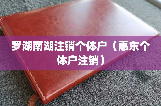 罗湖南湖注销个体户（惠东个体户注销）