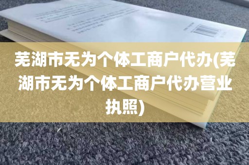 芜湖市无为个体工商户代办(芜湖市无为个体工商户代办营业执照)