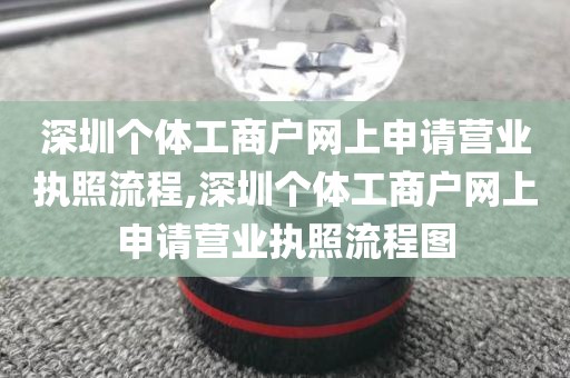 深圳个体工商户网上申请营业执照流程,深圳个体工商户网上申请营业执照流程图