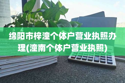 绵阳市梓潼个体户营业执照办理(潼南个体户营业执照)