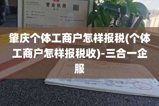 肇庆个体工商户怎样报税(个体工商户怎样报税收)-三合一企服