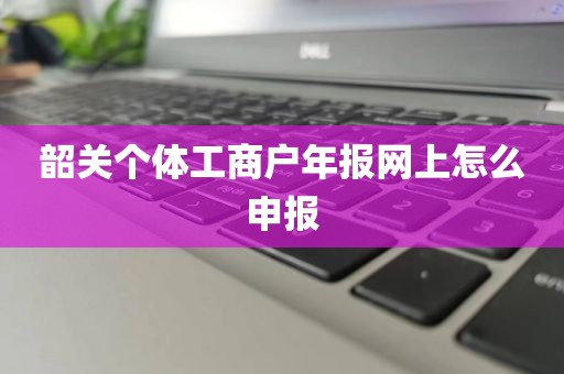 韶关个体工商户年报网上怎么申报