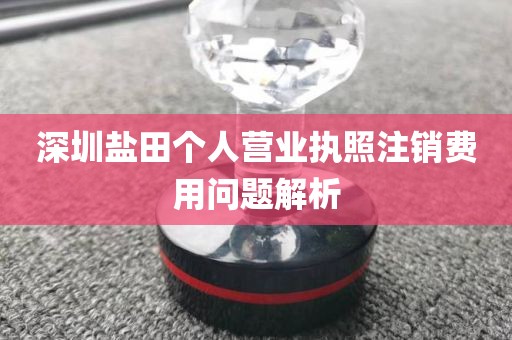 深圳盐田个人营业执照注销费用问题解析