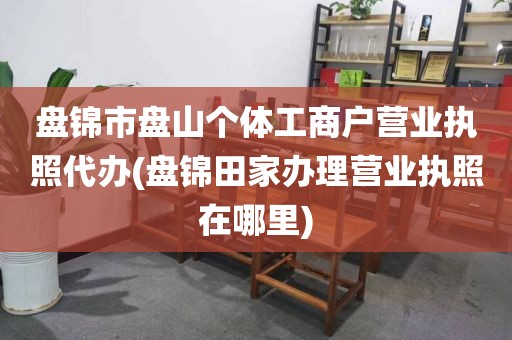 盘锦市盘山个体工商户营业执照代办(盘锦田家办理营业执照在哪里)