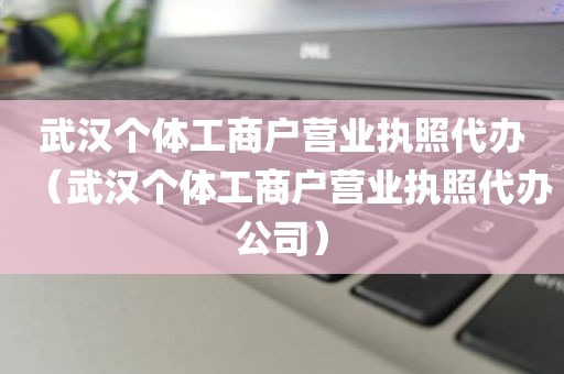 武汉个体工商户营业执照代办（武汉个体工商户营业执照代办公司）