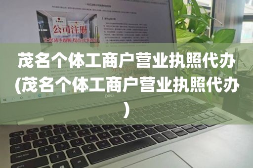 茂名个体工商户营业执照代办(茂名个体工商户营业执照代办)