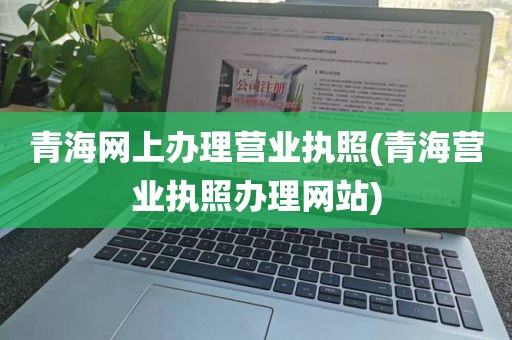 青海网上办理营业执照(青海营业执照办理网站)