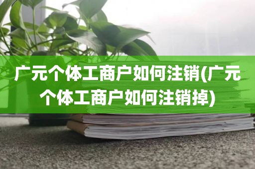广元个体工商户如何注销(广元个体工商户如何注销掉)