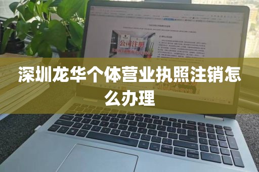 深圳龙华个体营业执照注销怎么办理