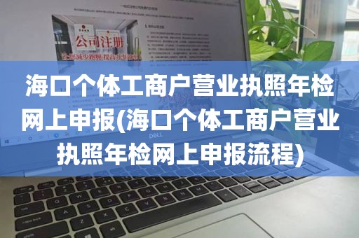 海口个体工商户营业执照年检网上申报(海口个体工商户营业执照年检网上申报流程)