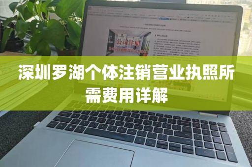 深圳罗湖个体注销营业执照所需费用详解