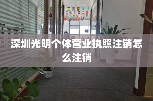 深圳光明个体营业执照注销怎么注销