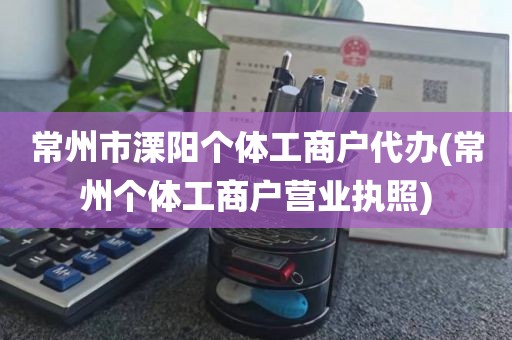 常州市溧阳个体工商户代办(常州个体工商户营业执照)